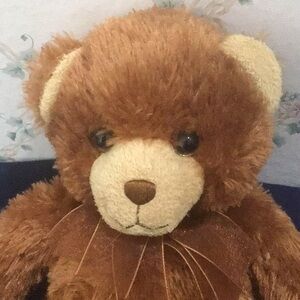 Talking Melissa & Doug Bear Recites “Our Father” Prayer w/ Batteries Included.